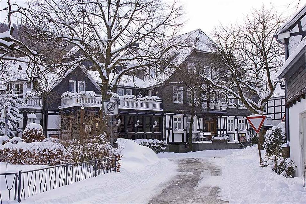 Landhotel Albers Schmallenberg Ngoại thất bức ảnh